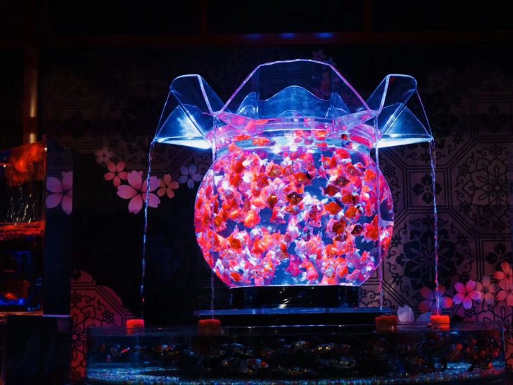 Grand Opening Announcement ART AQUARIUM Night Aquarium in Shanghai